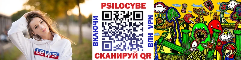 купить наркотики сайты  KRAKEN как зайти  Псилоцибиновые грибы мицелий  Александровск 